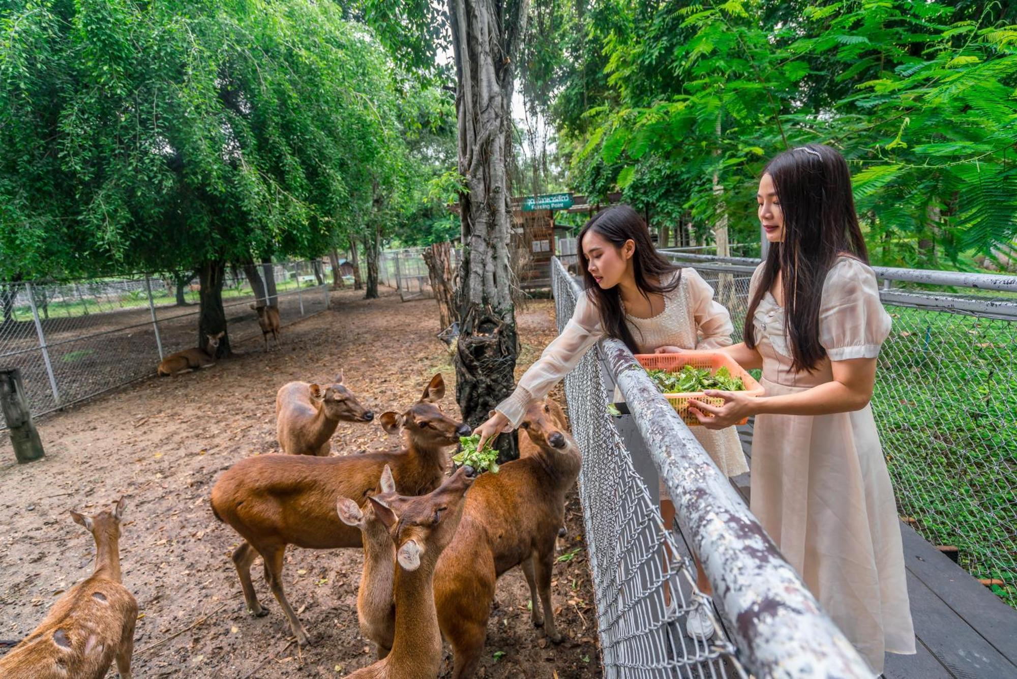 Horizon Village & Resort Doi Saket Buitenkant foto