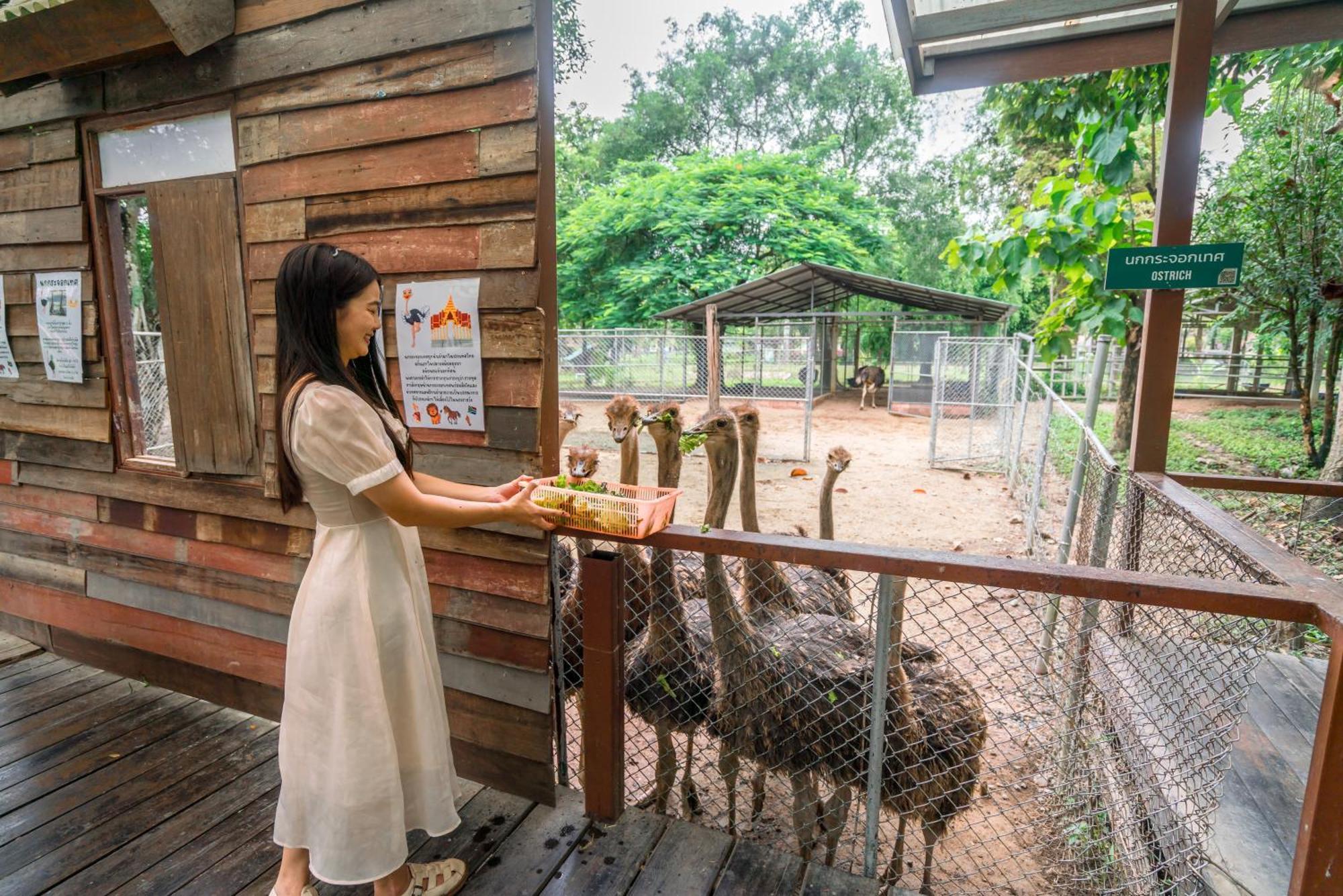 Horizon Village & Resort Doi Saket Buitenkant foto